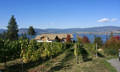 vignoble madrid